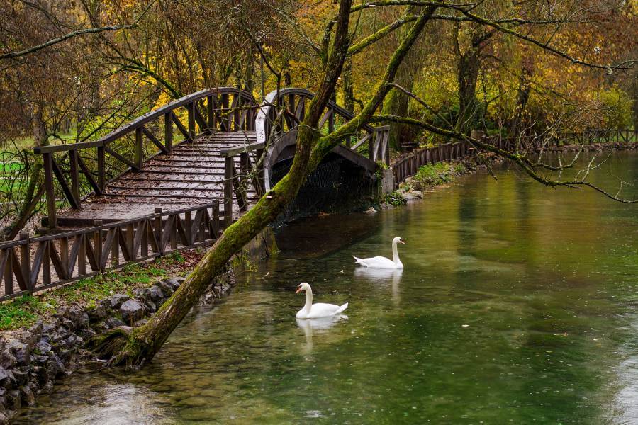 Vrelo Bosne Park