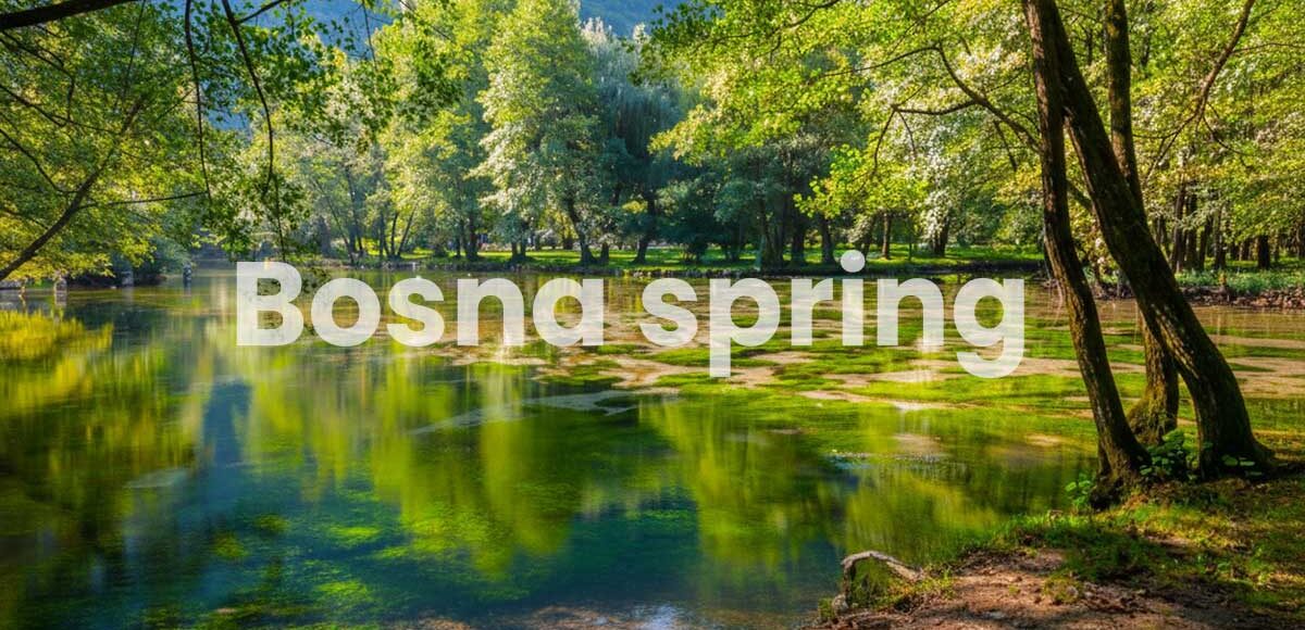 Bosna spring-picnic