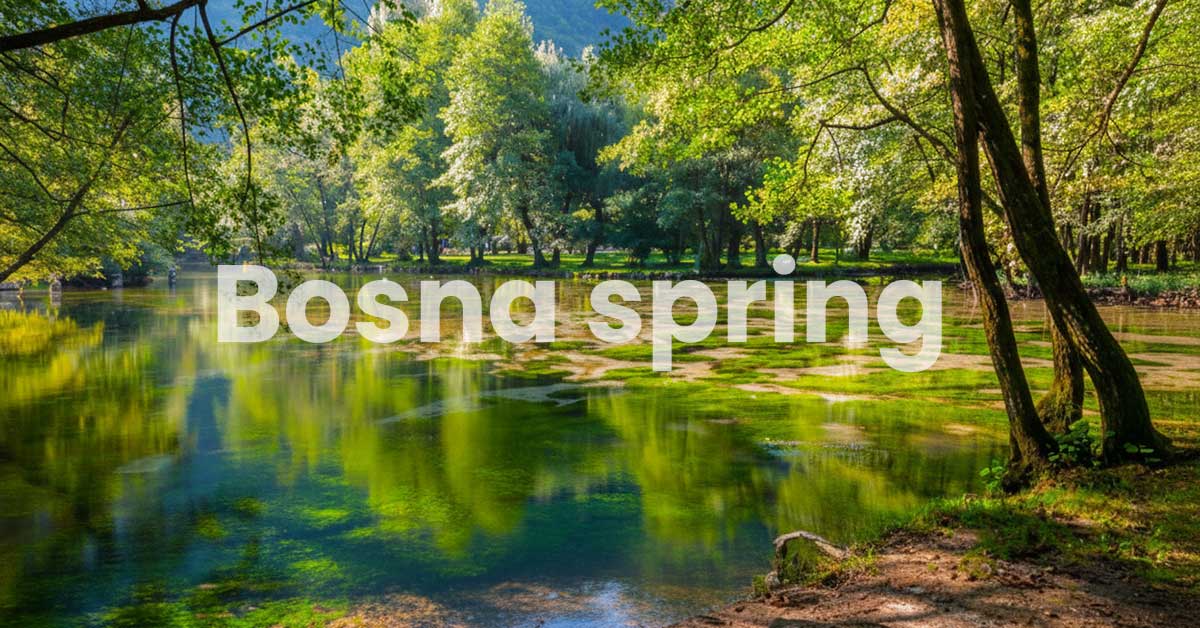 Bosna-spring-picnic Bosna spring-picnic