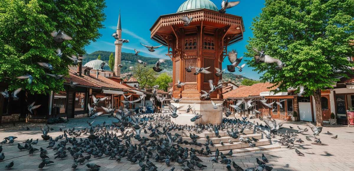 Pigeon-Square-Sarajevo