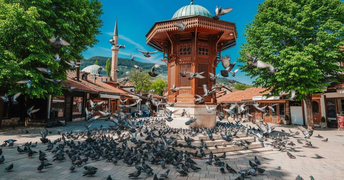 Pigeon-Square-Sarajevo Pigeon-Square-Sarajevo