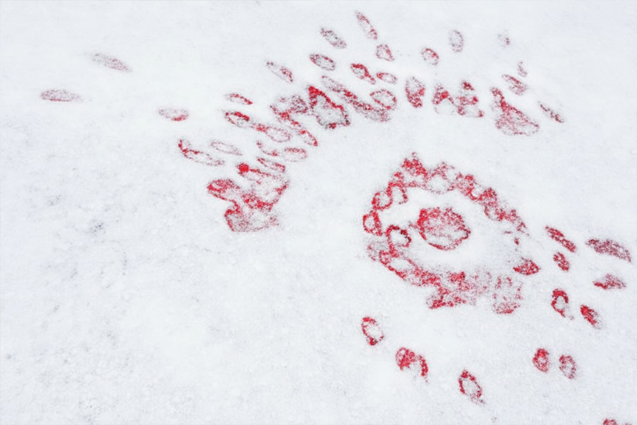 Sarajevo-roses-in-winter