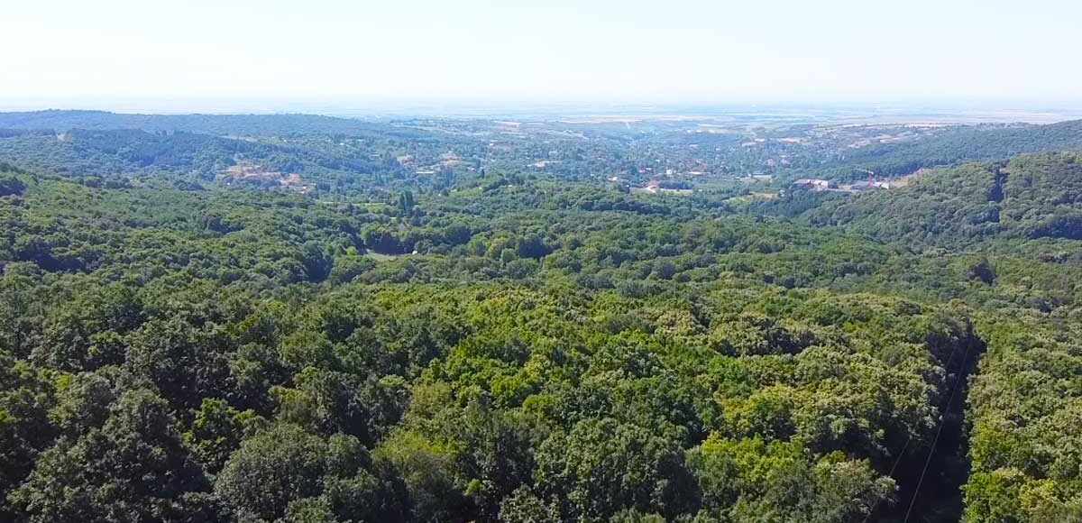 Fruska-gora-national-park