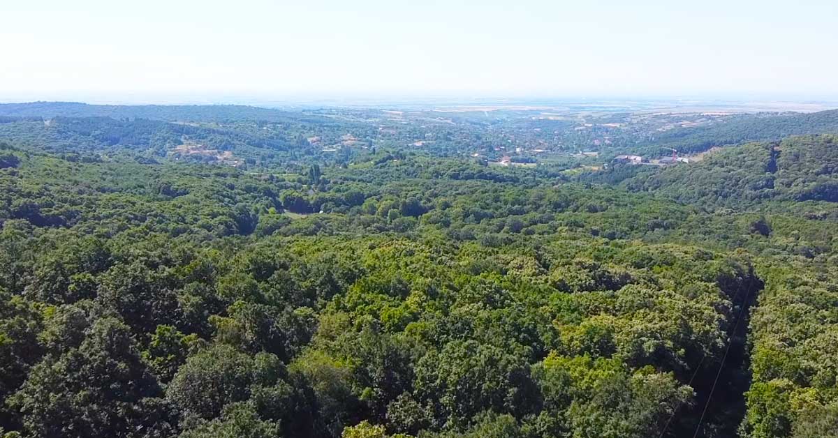 Fruska-gora-national-park