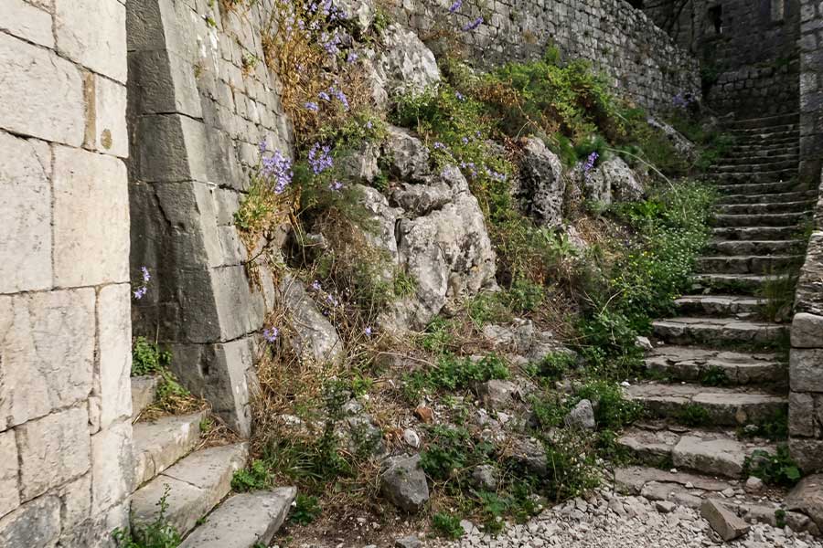 Essential gear & preparation for Kotor Fortress